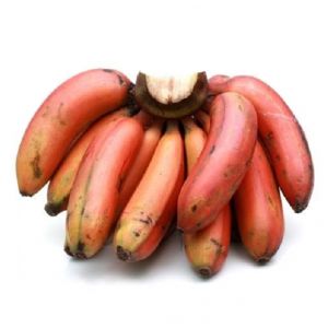Red Banana Sevalaipalam செவ்வாழைப்பழம்
