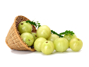 Amla நெல்லிக்காய்