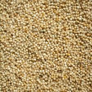 Barnyard Millet Kuthiraivaali குதிரைவாலி