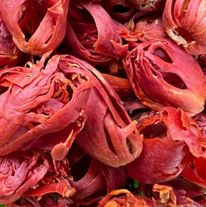 Jathipathiri ஜாதிபத்திரி